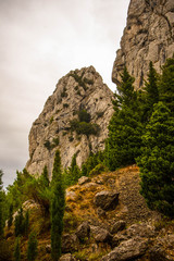 National Park Calabria Aspromonte