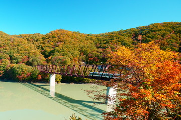 鉄橋と紅葉