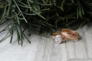 Rings on green background