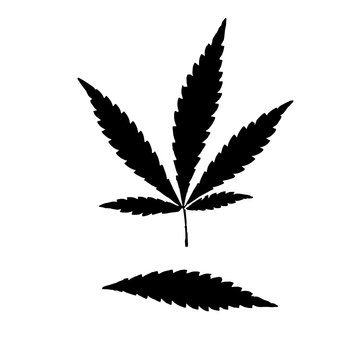 Canabbis leaf. Plant medicinal. Medicine. Cannabis logo. Hemp leaf