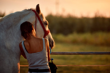 Horse human moments, human horse relationship