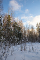 The nature of the North is fascinating