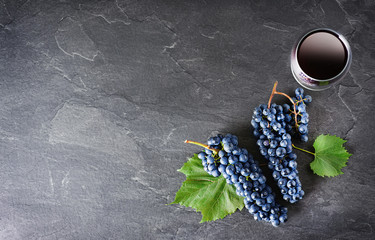 Bunch of fresh blue grapes on dark stone table. Grape fruits on black background with leaves and copy space.