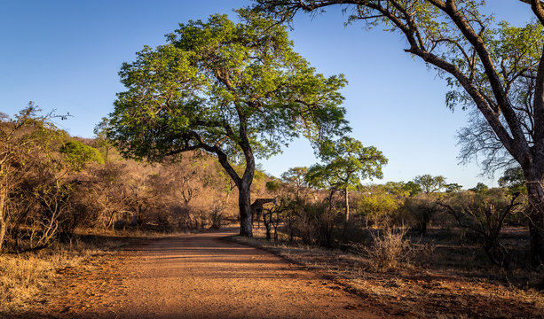 Landscapes of the Kruger National Park South Africa 