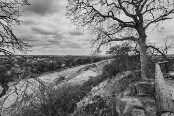 Landscapes of the Kruger National Park South Africa 