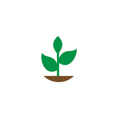 Vector illustration of fresh sapling with green leaf on soil
