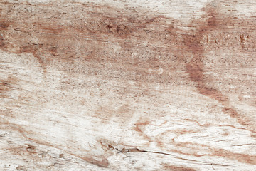 Wood texture natural old vintage for background.