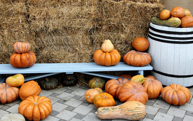 pumpkins