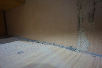 Termites destroy the wood on the bed.