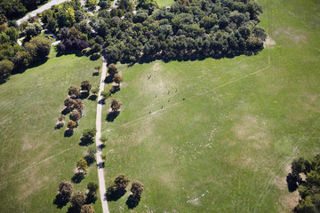 Widok na park z lotu ptaka