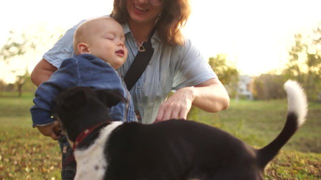 Two young women, a child and a dog have fun in the autumn park on a sunny day. Samesex couple