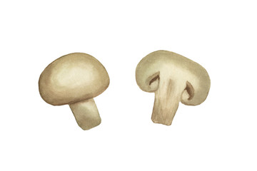 Watercolor illustration of champignons, hand-drawn, whole and cut, on a white background isolated. Vegetarian food illustration
