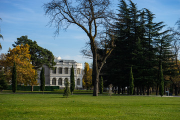 Autumn in Chateau Mukhrani