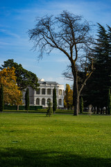 Autumn in Chateau Mukhrani