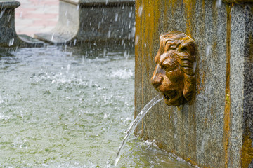 Golden head of lion as detail of  city fountain in heart of historic center Kerch.