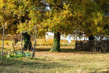 Famous Chateau Mukhrani
