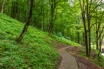 Obraz premium Ahki Tai - a tourist attraction in Benoy