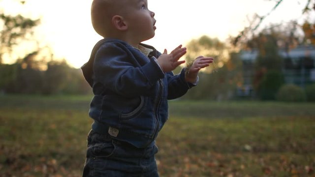 Kid fell out for a walk. The kid calmly gets up and shakes off the handles. Walk at sunset in the autumn park