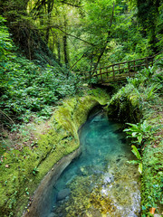 Obraz premium Valley of the Alento River in Serramonacesca (Italy): wooden bridge over the river in a lush forest