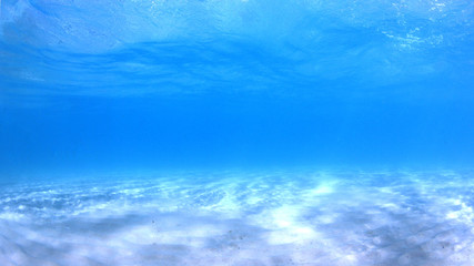 Fototapeta na wymiar Underwater photo of blue water background in ocean