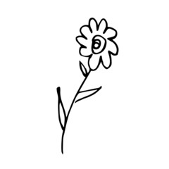 Single hand drawn flower for greeting cards, posters, stickers and seasonal design. Isolated on white background. Doodle vector illustration.