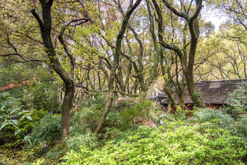 Trees and buldings in the Tianyige Library which is also called Building of Treasured Books, was...