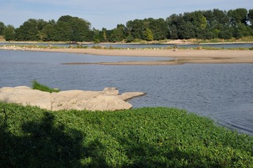 The edges of the Loire at Bouchemaine