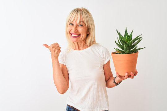 Middle age woman holding cactus pot standing over isolated white background pointing and showing with thumb up to the side with happy face smiling