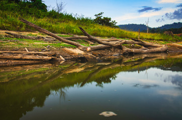 Fototapeta na wymiar Beautiful nature of tropical rain-forest at Royal Belum State Park, Perak Malaysia.