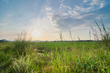 beautiful landscape view in traditional paddy field over sunrise background. Soft focus due to long exposure.