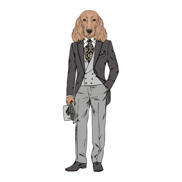 Humanized Irish Setter breed dog dressed up in vintage outfits. Design for dogs lovers. Fashion anthropomorphic doggy illustration. Animal wear suit, tie, bowler hat. Hand drawn vector.