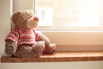 Leaving concept: Teddy bear is looking out of the window