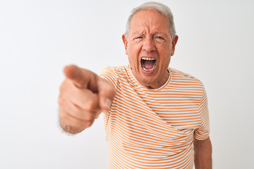 Senior grey-haired man wearing striped t-shirt standing over isolated white background pointing displeased and frustrated to the camera, angry and furious with you
