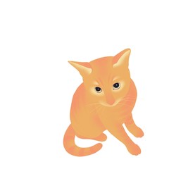 yellow cat .  hand drawn digital art  illustration isolated on white background