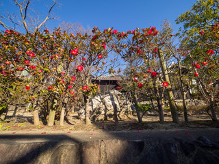 愛知県とこなめ焼 街散策