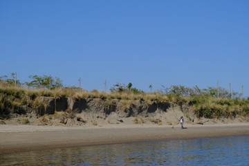 Fototapeta na wymiar 砂浜で犬の散歩