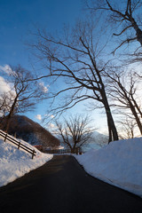 Walkway with scenic view in winter time with view of trees without leaves at Lake Shikotsu, Chitose, Hokkaido, Japan