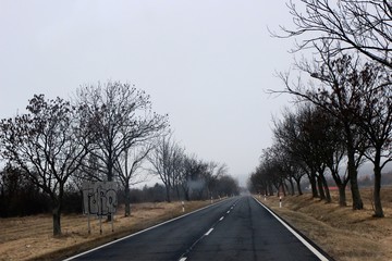 road in the haze