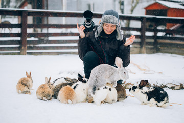 Photographer having fun and taking pictures in a rabbit park in winter. 