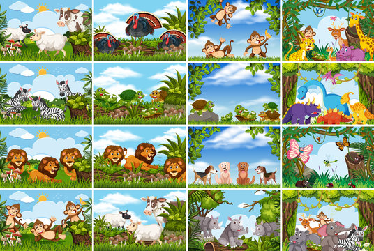Set of various animals in nature scenes