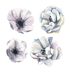 Watercolor set of white flowers isolate in white background for wedding, invitation, valentine cards and prints