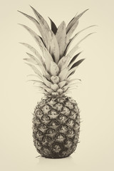 Trendy home interior decoration canvas - single ripe and whole pineapple isolated on a white background (sepia vintage effect)