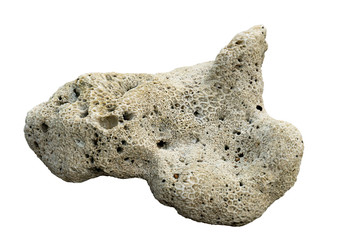 A rock with a coral reef attached on isolated white background with clipping path.