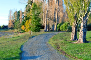 Obraz premium New Zealand Scenery