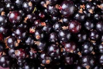 ripe black currants as background