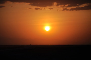 Sunset on the savannah