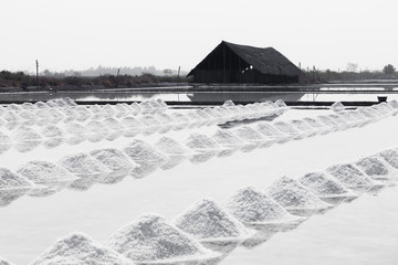 salt piles in the Saline from Samutsakorn, Thailand. Salt Culture of Thailand It is made in the summer of every year.