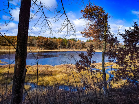 Brainerd Arboretum Lake View