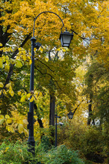 Lamp posts in the park during autumn seasosn