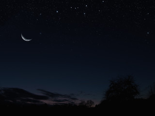 Obraz na płótnie Canvas night landscape with big moon
